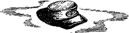 Фата-Моргана 5 (Фантастические рассказы и повести) - img_37.png
