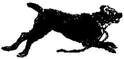 Неугомонный Носир - i_005.png