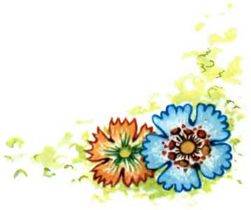 Желудёк - i_023.jpg