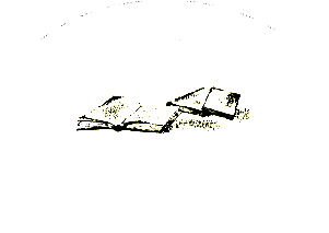 Анна - _10.png