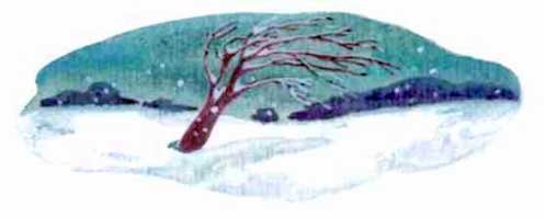 Сказки о Хоме и Суслике - i_034.jpg