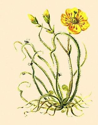 Большая Советская Энциклопедия (НА) - i010-001-276152669.jpg