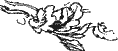 Дуб стоеросовый - Sob23221.png