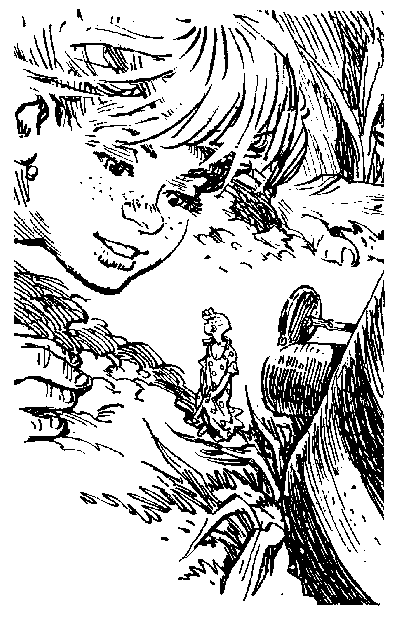 Война с лилипутами (с иллюстрациями) - i_002.png