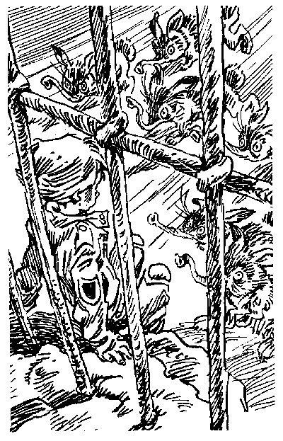 Война с лилипутами (с иллюстрациями) - i_024.png