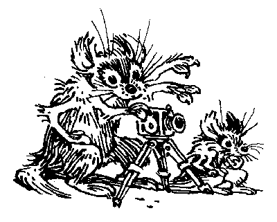 Девочка, с которой ничего не случится (с иллюстрациями) - i_008.png