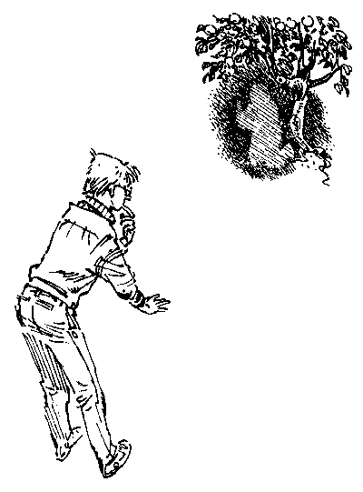 Девочка, с которой ничего не случится (с иллюстрациями) - i_009.png