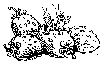 Девочка, с которой ничего не случится (с иллюстрациями) - i_011.png