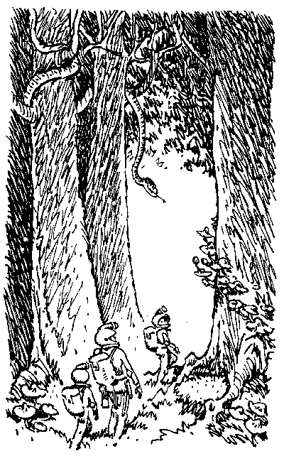 Город без памяти (с иллюстрациями) - i_004.png