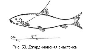 Жизнь и ловля пресноводных рыб. Часть 1 - ris058.jpg