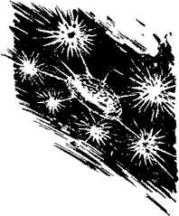 Мир приключений 1962 г. № 8 - Untitled17.png