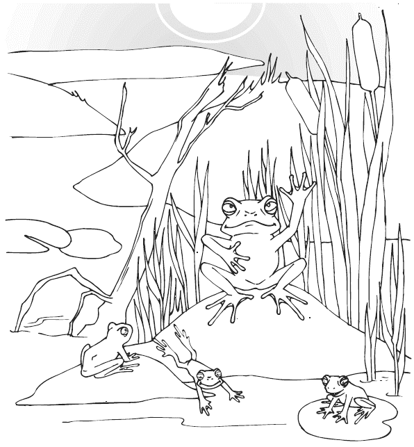 Мудрость лягушки - i_002.png