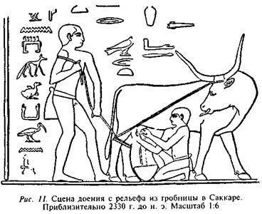 Египтяне. Великие строители пирамид - image10.jpg