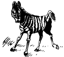 Энциклопедия животных - i_023.png