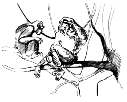 Энциклопедия животных - i_028.png
