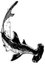 Энциклопедия животных - i_035.png