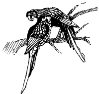 Энциклопедия животных - i_047.png