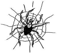 Энциклопедия животных - i_063.png