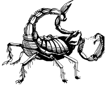 Энциклопедия животных - i_066.png