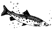 Энциклопедия животных - i_087.png