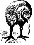 Энциклопедия животных - i_096.png