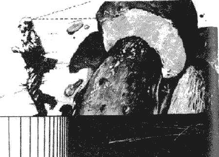 Дзвони зеленої Галактики - Untitled14.png