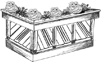 Энциклопедия комнатных растений - i_002.png