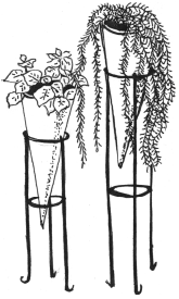 Энциклопедия комнатных растений - i_009.png
