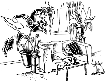 Энциклопедия комнатных растений - i_035.png