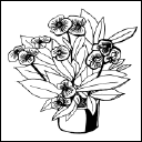 Энциклопедия комнатных растений - i_156.png