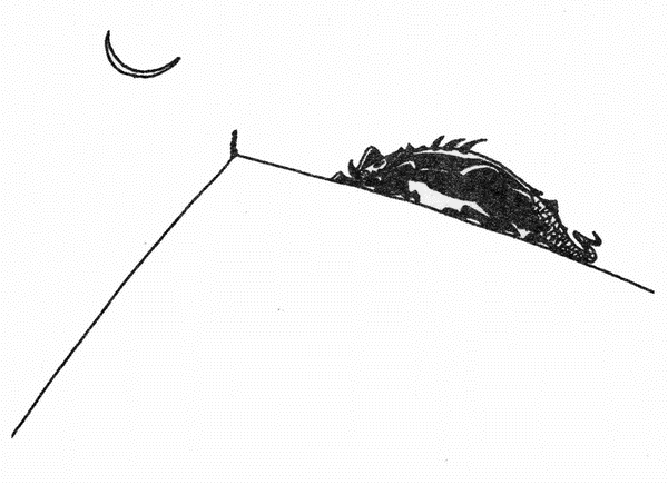 Камни и молнии (сборник) - i_013.png