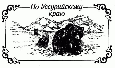Встречи с животными - img_2.png
