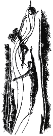 Вогняний вершник - doc2fb_image_03000003.png