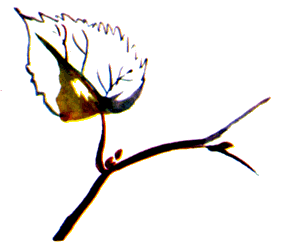 Байкала-озера сказки Том II разд.1 - i_091.png