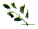 Байкала-озера сказки Том II разд.1 - i_093.png