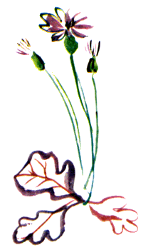 Байкала-озера сказки Том II разд.2 - i_034.png