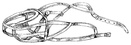 Американский кокер-спаниель - _24.png