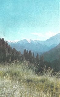 Тропинки в загадочный мир [с иллюстрациями] - pic_2.jpg