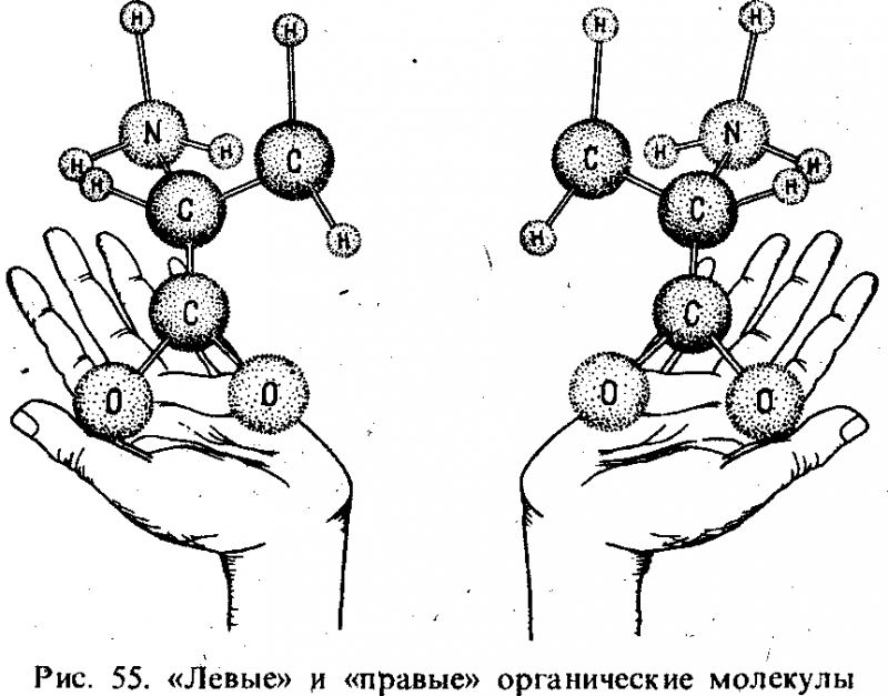 Вселенная, жизнь, разум - i_049.png