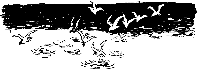 Пора забот - i_010.png