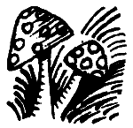 Вниз по волшебной реке - i_029.png
