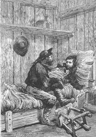 Таинственный остров (Перевод Салье М.А.) - _697.jpg