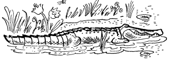 Слонёнок - i_004.png