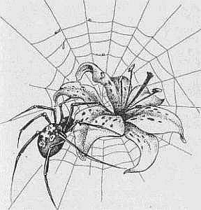 Преступники и преступления. Женщины-убийцы. Воровки. Налетчицы - i_030.jpg
