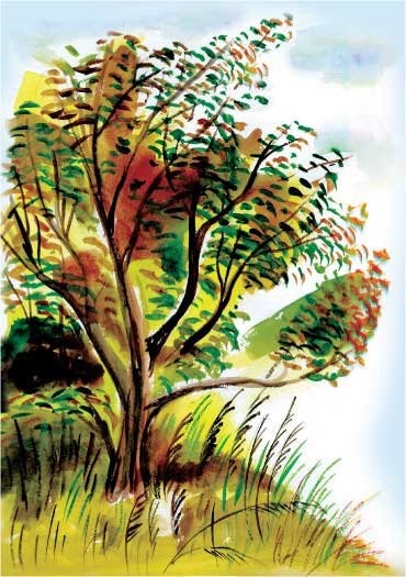 Луговичка - i_008.jpg