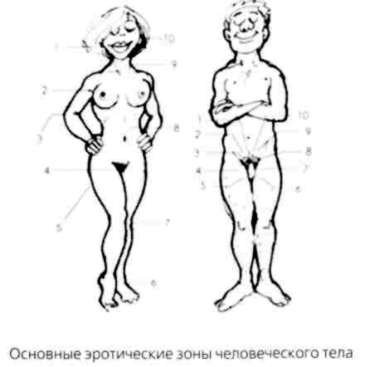 Почему мужчины хотят секса, а женщины любви - new24.jpg
