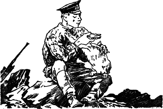 Батарейный заяц - pic_1.png