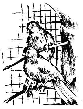 Завещание поручика Зайончковского - i_029.png