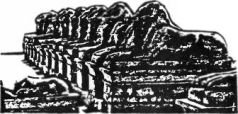 Космический код. Генная инженерия богов - pic_70.jpg