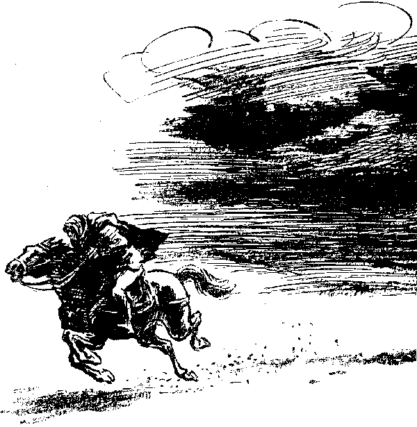Хозяйка Блосхолма. В дебрях Севера - i_010.png